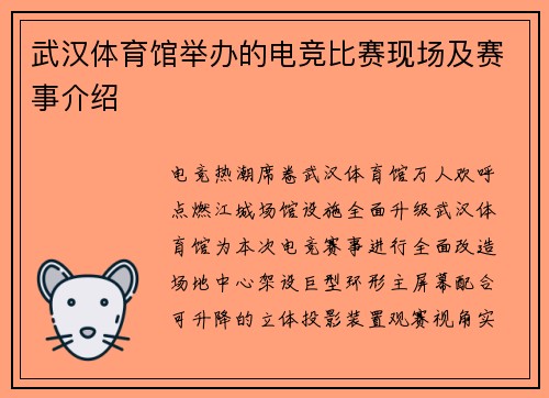 武汉体育馆举办的电竞比赛现场及赛事介绍